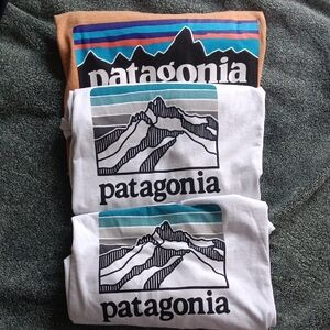 Patagonia Mountain Graphic Tees in Pale Blue/White and Orange